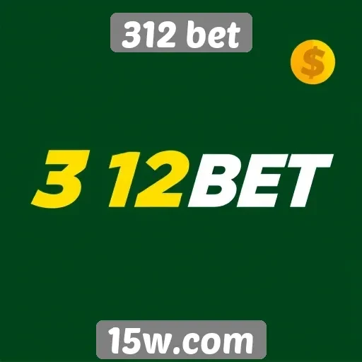 Opções de pagamento disponíveis na 312 bet